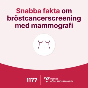 Illustration av två bröst.