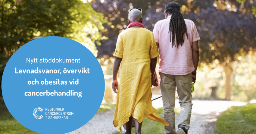 Två personer promenerar i park