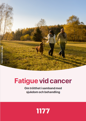 Broschyr om fatigue