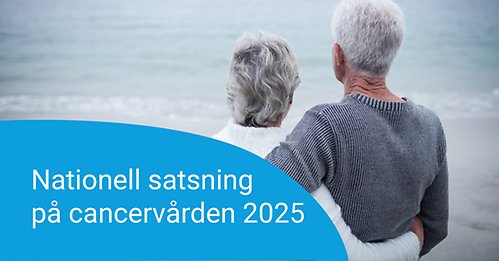 Par omfamnar varandra vid havet.