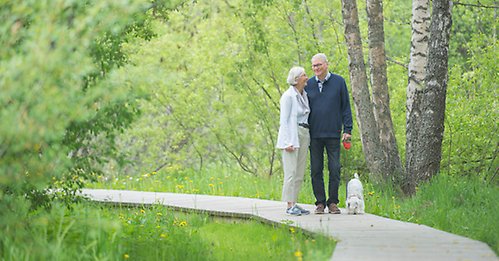 Äldre par på promenad med hunden med lummande grönska runt.